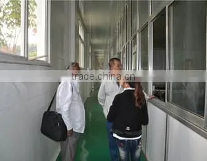 Shandong Wheatsun Food Co., Ltd. company overview - view 2 thumbnail