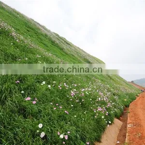 PP Non-woven Fabric for Furniture,mattress,sofa,upholstery,packing,bag Etc thumbnail-2