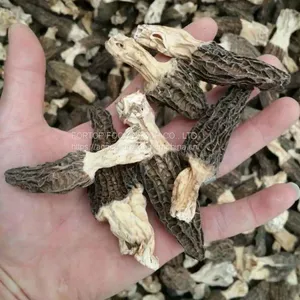 Factory Price Premium Quality Chinese Dried Morel Mushroom With Stem thumbnail-1