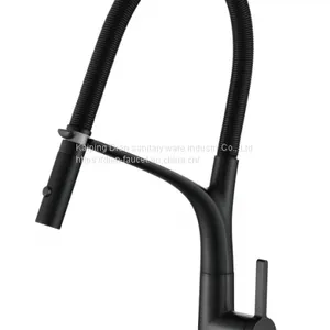 Brass Kitchen Sink Faucet Matt Black Color Watermark thumbnail-1