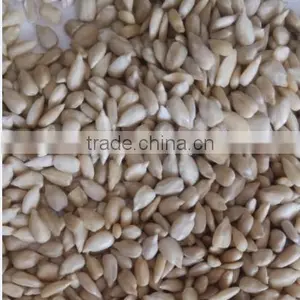 Sunflower Kernel thumbnail-1
