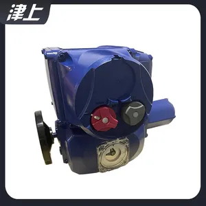 Angle Stroke Electric Actuator ASP Network Remote Control Adjustment thumbnail-2