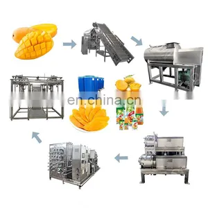 Fruit and Vegetable Processing Mango Puree Production Line thumbnail-1
