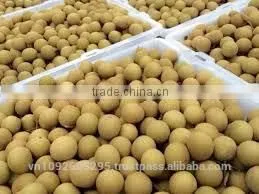 Longan Fruit thumbnail-6