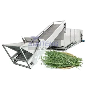 Continuous Mesh Belt Dryer Seaweed Alfalfa Hemp Leaves Flowers Lemon Grass Drying Machine EPC thumbnail-1