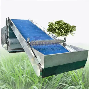 Biomass Alfalfa/lucern Continuous Dryer Napier Grass Drying Machine Agriculture Dryer for Alfalfa EPC thumbnail-1