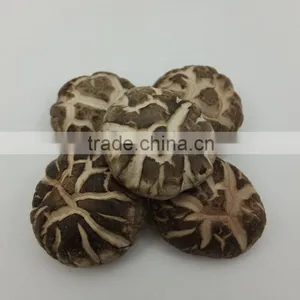 New List of Edible Spring Flower Mushroom thumbnail-2