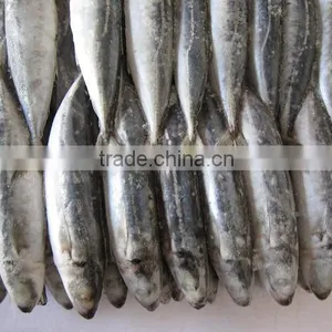 FROZEN ROUND SCAD thumbnail-1