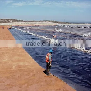 Plastic Fish Ponds thumbnail-3