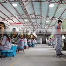 Zhejiang Chosen Electric Science & Technology Co., Ltd. company overview - view 2 thumbnail