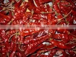 Indian Dry Red Chilli thumbnail-1