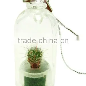 Pet Tree Keychain Mini Pet Plant thumbnail-5