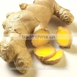 Fresh Ginger thumbnail-3