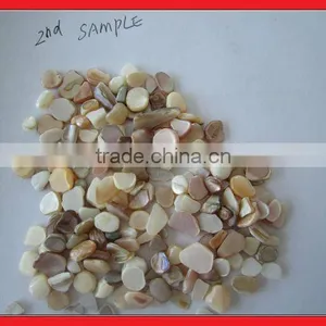 Polished Sea Shell Granule thumbnail-1