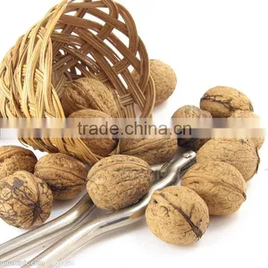 Extra Raw Walnut Kernels for Great Taste thumbnail-4