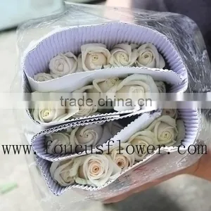 China Hot Sale Rose Cut Vendela Fresh Roses Cut Flowers From China thumbnail-6