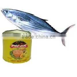 Canned Skipjack Fish thumbnail-1