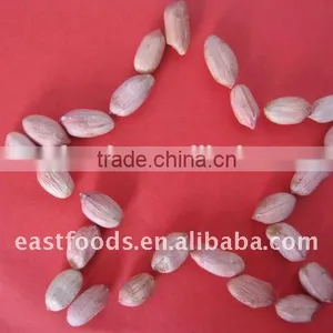 Long Type Peanut Kernel From China thumbnail-1