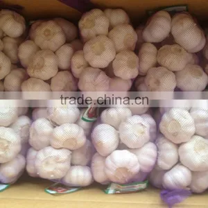 Chinese New Garlice Price thumbnail-6