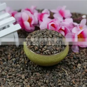 High Quality Raw Buckwheat Price thumbnail-2