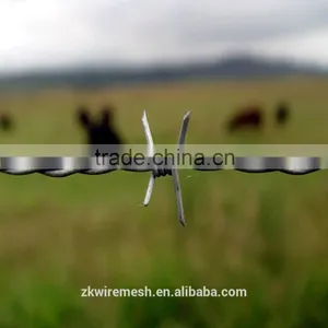 Hot Dipped Galvanised Barbed Wire(with High Tensile Strength) thumbnail-2