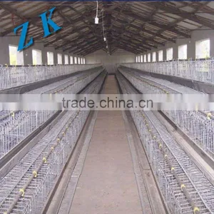 Automatic Water and Feeding for Chicken Cage , Laying Hen , thumbnail-5