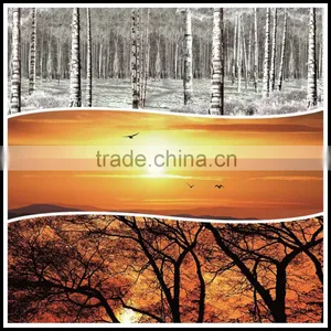 Ceramic Fritted Glass Can be Tempered Laminated Decorative Glass thumbnail-3