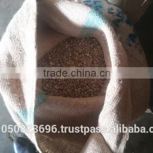 ARABICA GREEN COFFEE BEANS- High Quality thumbnail-2