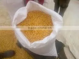 INDIAN DRIED YELLOW CORN thumbnail-1