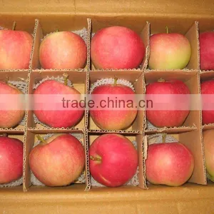 Gala Apple thumbnail-1