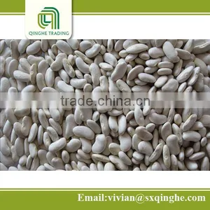 Different Types Dried Beans, Flat White Kidney Beans thumbnail-1