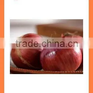 Bulk Market Price Fresh Red Onion Products thumbnail-3