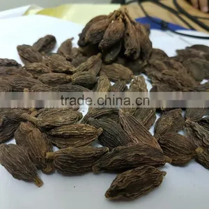 Black Cardamom Wholesale thumbnail-1