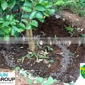 Pure Neem Organic Fertilizer thumbnail-5
