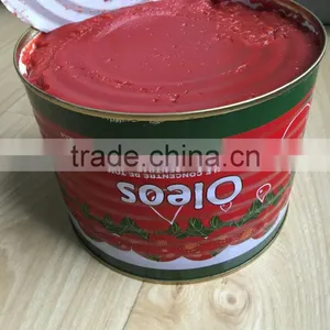 Hot Selling Africa Halal Food Red Color Natural Tomato Paste thumbnail-1