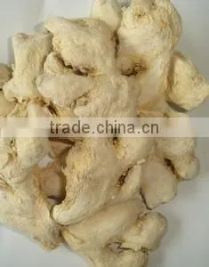 Factory Price Gan Jiang Extract Powder thumbnail-1
