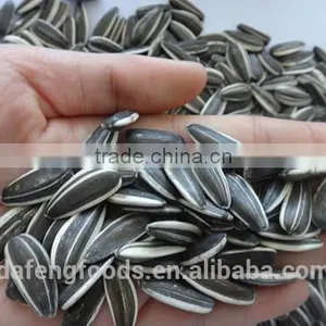 Hetao Sunflower Seeds5009.3939.3638.363,135.909 thumbnail-4