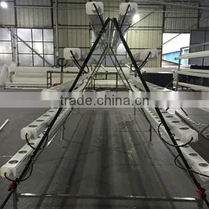 Hydroponic Vertical Systems With Popular Size thumbnail-3