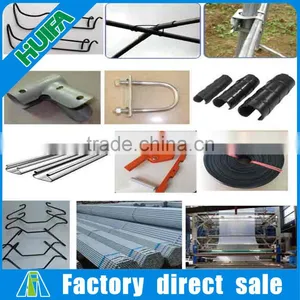 Economical Galvanized Steel Truss Single Tunnel Greenhouse With Accessories thumbnail-6