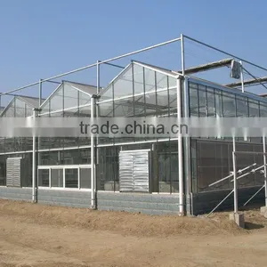 Low Cost Polycarbonate Sheet Commercial Greenhouse for Sale thumbnail-1