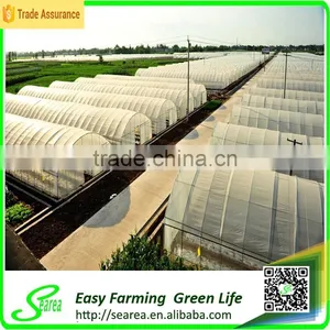 Grape Growing Agriculture Green House for Sale thumbnail-4