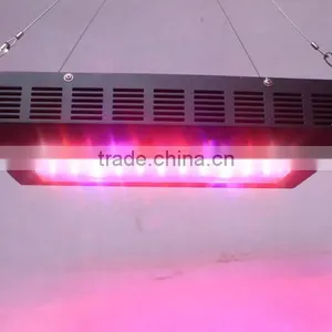 Designer Goods From Twilight Group China Cree Led Grow Light 2016 Looking for Exclusive Distributor thumbnail-5