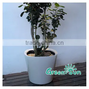 High Quality Plastic Starting Seeding Flower Pot thumbnail-3