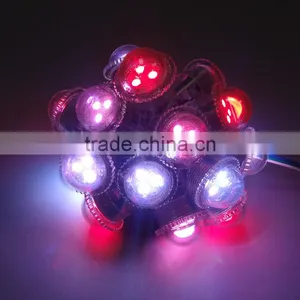 Christmas Decorative LED String Lights LED Pot Light thumbnail-1