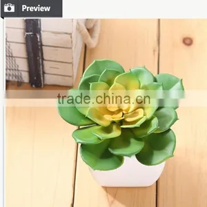 Cheap Artificial Succulents Plants Plastic Plants thumbnail-4