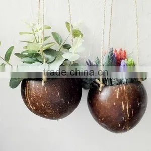 Ex-fty Most Affordable Coconut Box/storage Container for Green Plant thumbnail-2