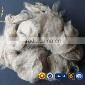 Dehaired Goat Raw Cashmere Wool Fiber thumbnail-2