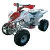 All Terrain Vehicle (ATV) thumbnail-1