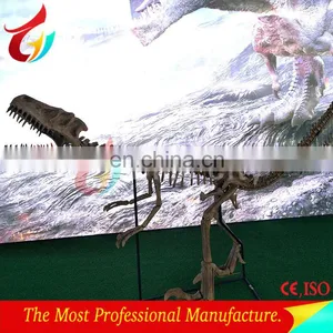 3m Length Life Size Fibrglass Realistic T-rex Dinosaur Fossils thumbnail-4
