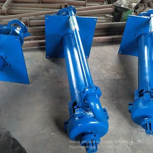 The Assessment of Direct Selling sv - 150 SP (R) Vertical _ _ Under Liquid Centrifugal Slurry Pump thumbnail-4
